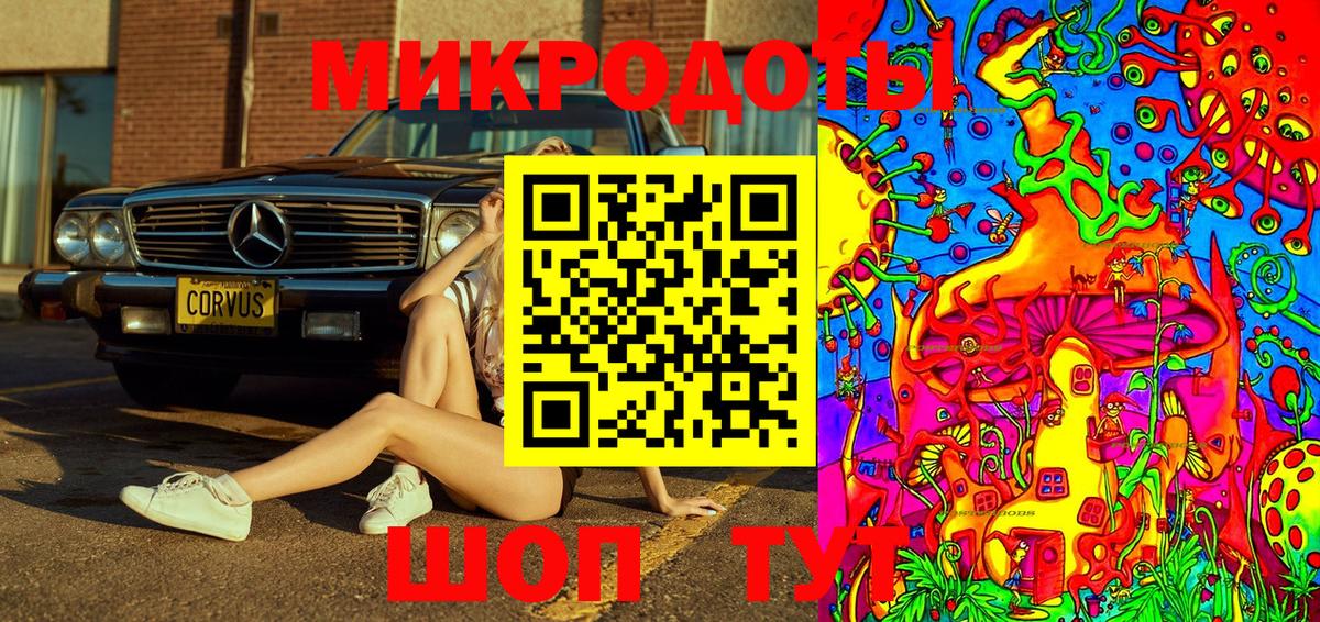 Псилоцибиновые грибы Cubensis Клин